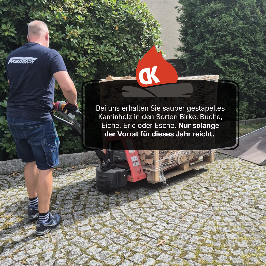 1 Raummeter Kaminholz Esche – Bild 4